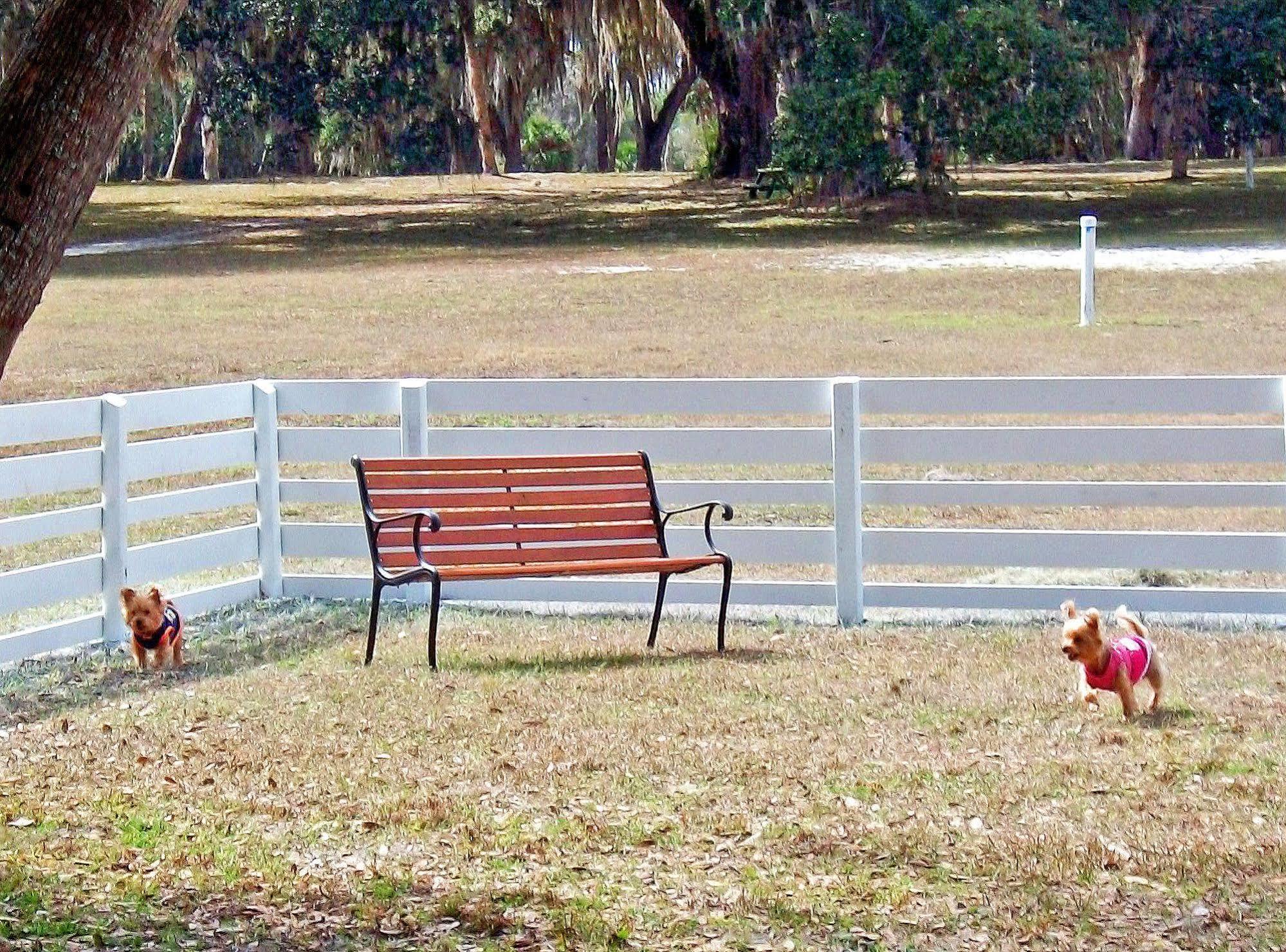 Bulow Rv Resort Flagler Beach Kültér fotó