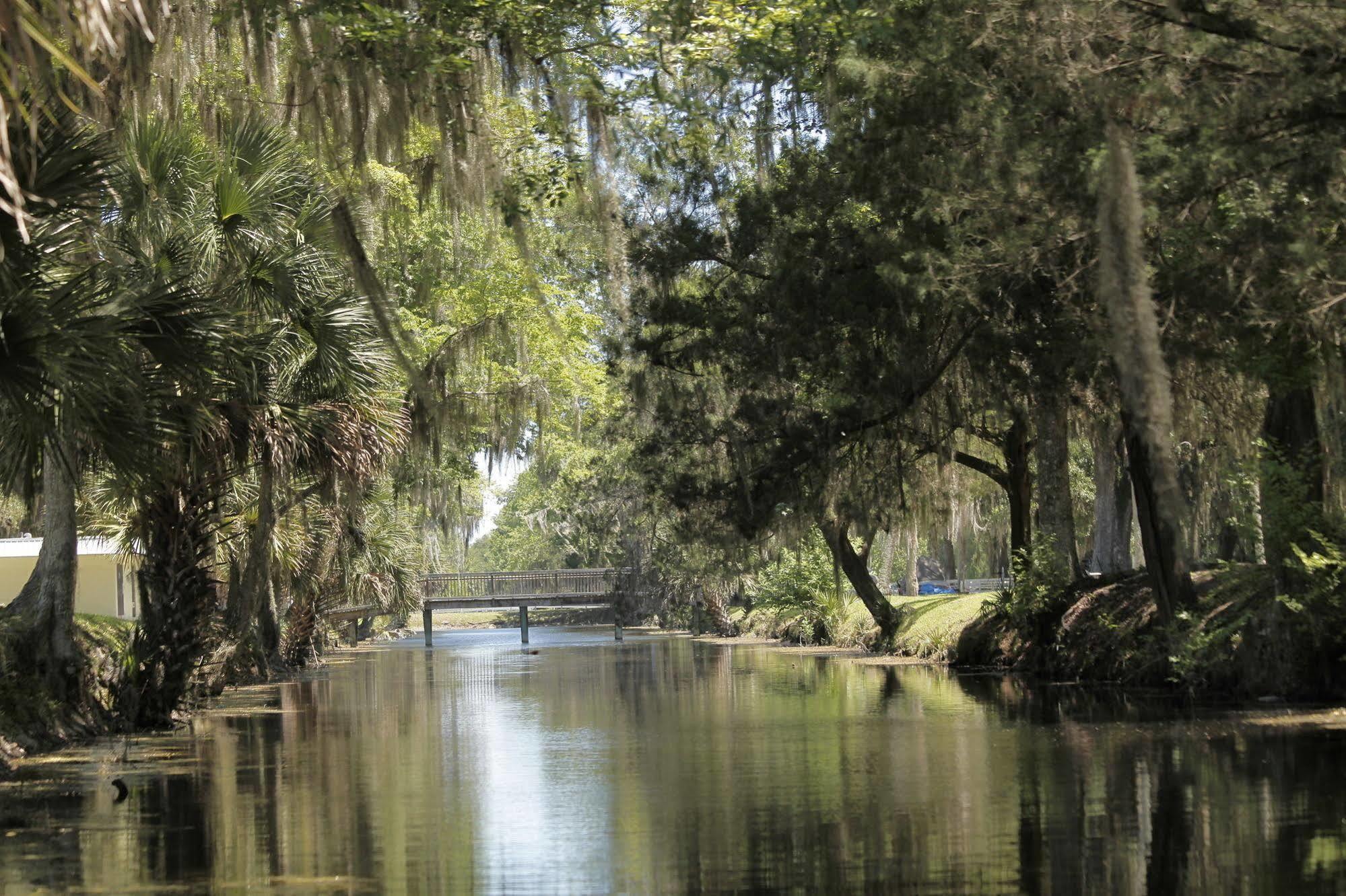 Bulow Rv Resort Flagler Beach Kültér fotó